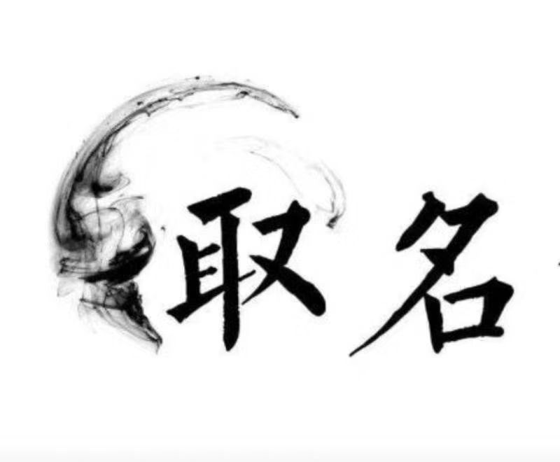  莲池宝宝取名 大师一对一人工起名
